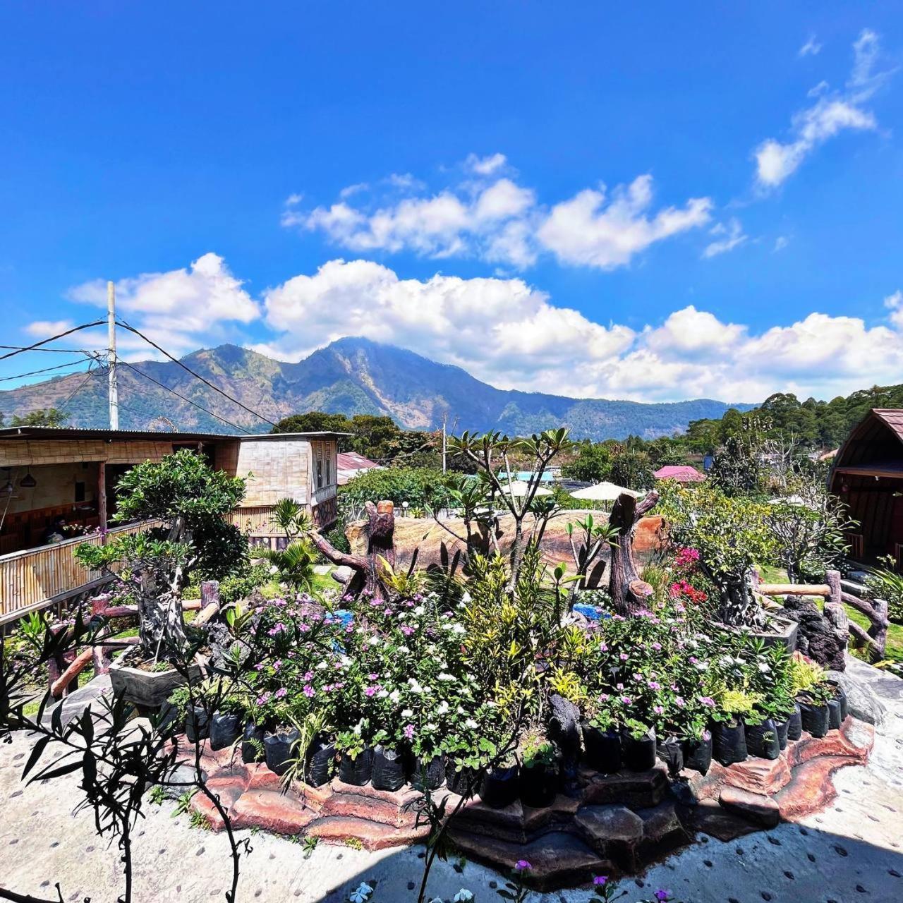Manik Tirta Cabin'S Kintamani المظهر الخارجي الصورة